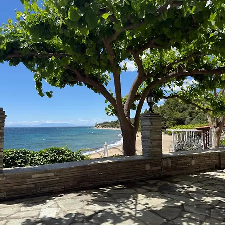 Everblue - Halkidiki Beachfront فندق *